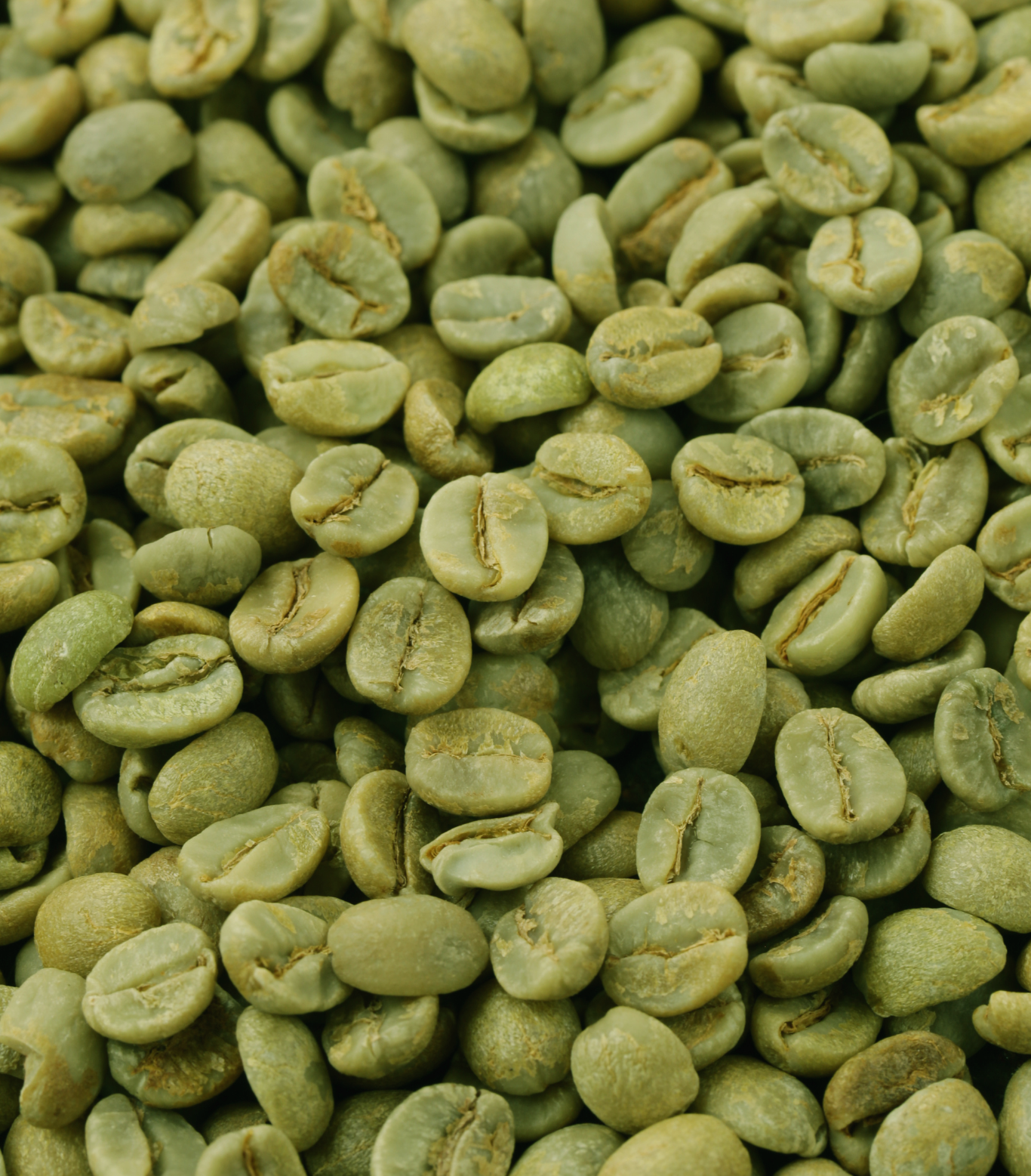 For Roasters Green Coffee