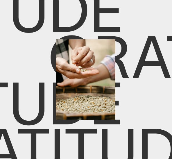 Gratitude