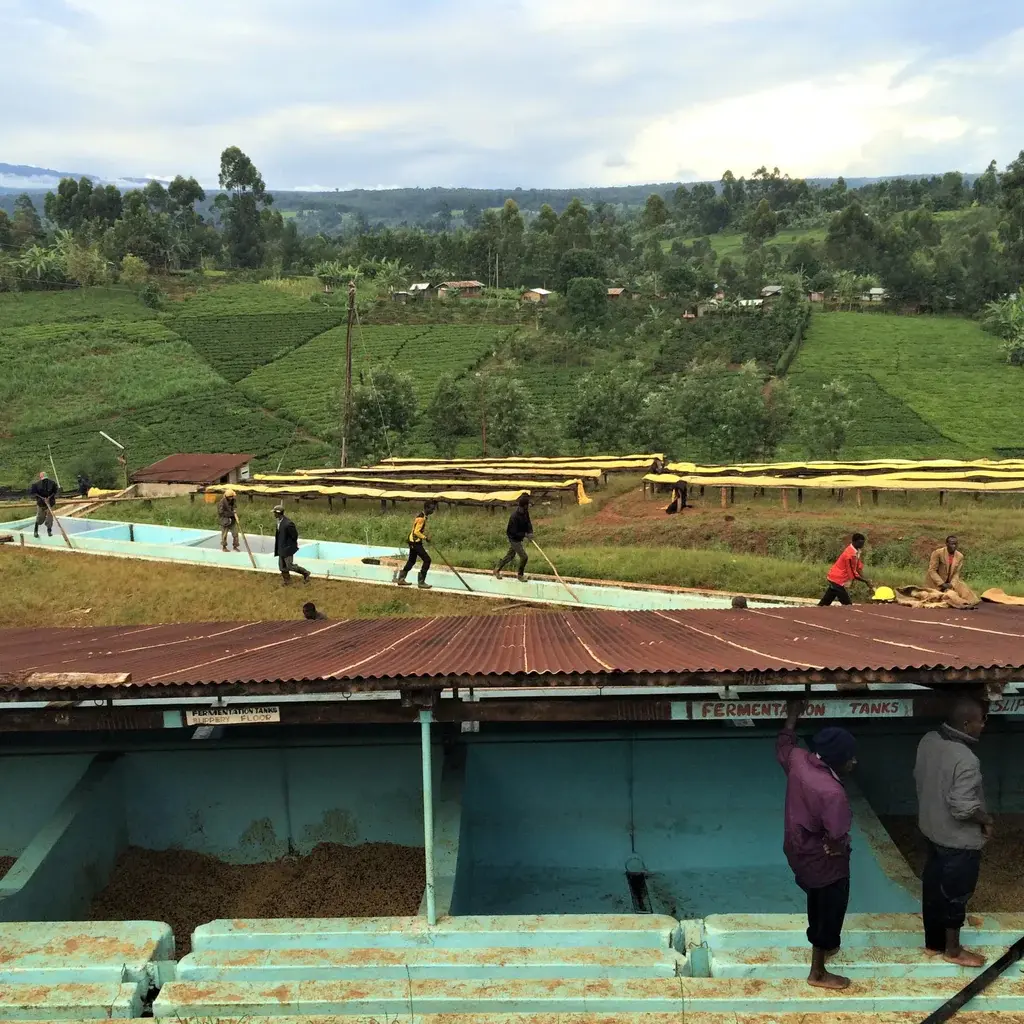 Baragwi Farmers Cooperative