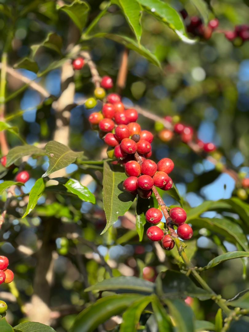 PHOTO-2026-03-19-11-18-08