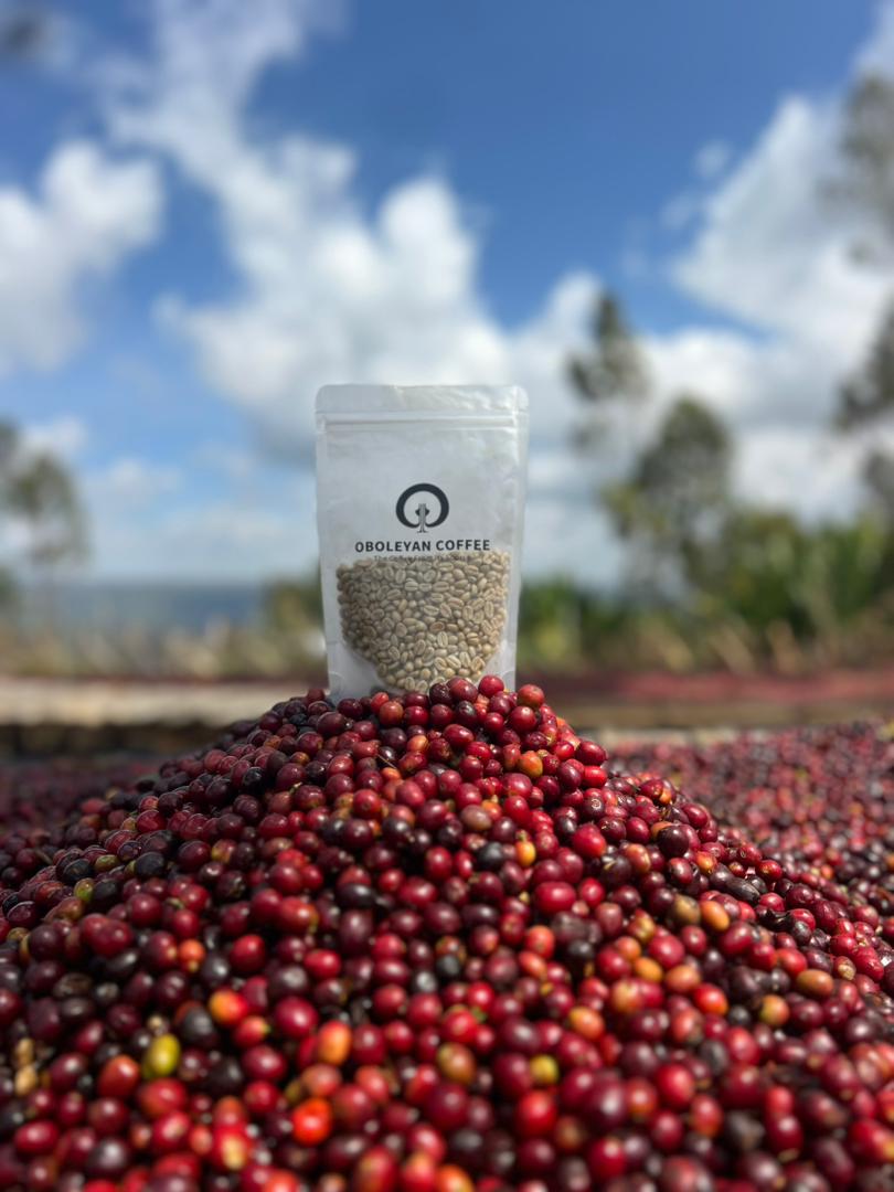 PHOTO-2026-03-19-11-18-09 2