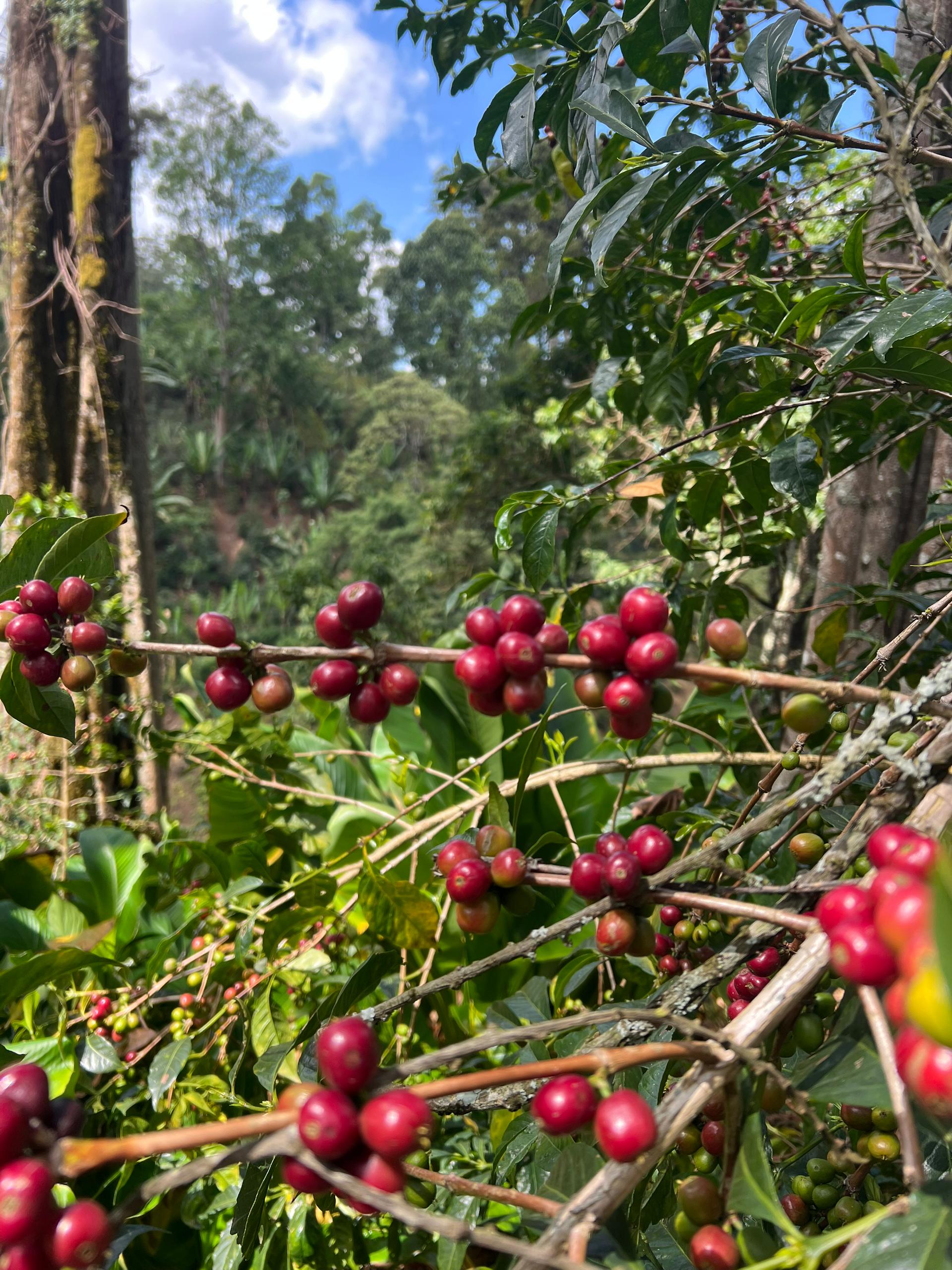 PHOTO-2026-03-19-11-21-05-1