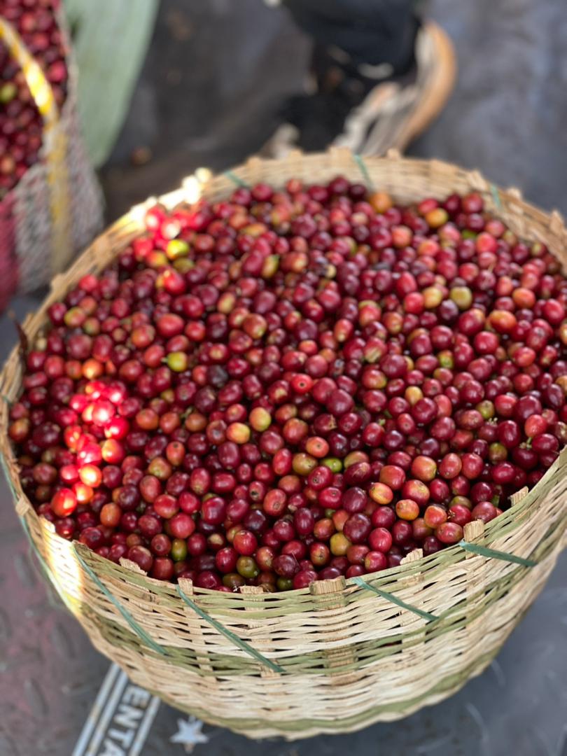 PHOTO-2026-03-19-11-21-09