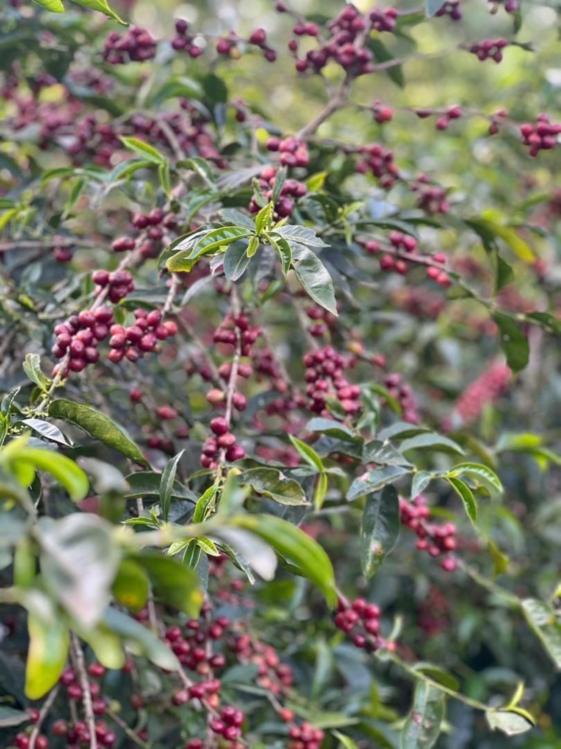 PHOTO-2026-03-19-11-21-10