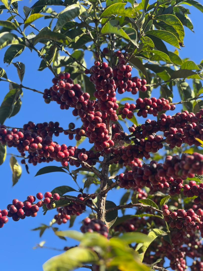 PHOTO-2026-03-19-11-21-11 2-1