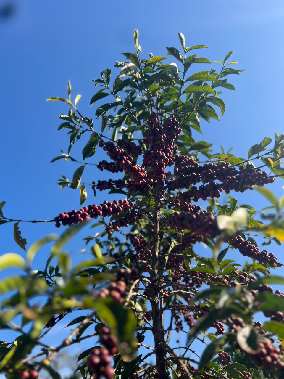 PHOTO-2026-03-19-11-22-26 2